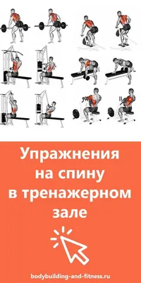 Программа тренировок в зале ⇔ Программа тренировок в тренажерном зале для  девушек и мужчин