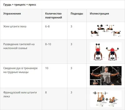 Комплекс упражнений в тренажёрном зале для мужчин – Онлайн-журнал Льва  Гончарова о ЗОЖ и вредных привычках.