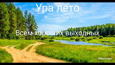 Фотоотчет о проведении праздника «Ура! Лето!» ко Дню защиты детей (20  фото). Воспитателям детских садов, школьным учителям и педагогам - Маам.ру