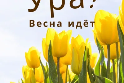 Картина «Ура, весна!». Размер: 75x110 (см). Художник Сергеев Руслан -  Купить онлайн с доставкой в онлайн-галерее 