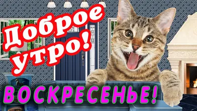 Открытки "Доброго утра!" в воскресенье (100+)