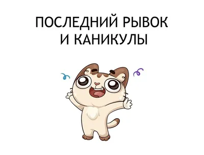 Ура, выходные!»: кот показал, как правильно уходить с работы в пятницу