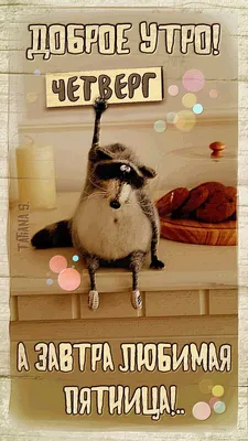 Мемы субботы, предпраздничные 😽 | Кот в валенках Марсель | Дзен