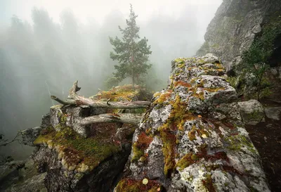 Уральские горы / Пейзаж за окном самолета