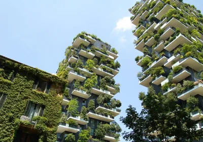 Home - European Platform for Urban Greening - Urban greening is essential  for climate resilience, biodiversity and the well-being of city dwellers