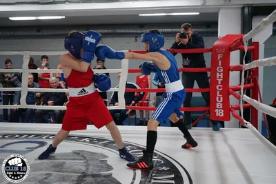 Тренировки по боксу для начинающих в Москве — Академия бокса