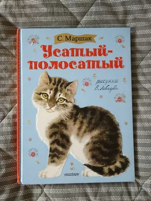 Планинг недат. 64л "Усатый-полосатый" карманный, интегр. переплет,  глянц.лам. | Буквоед Арт. 58281