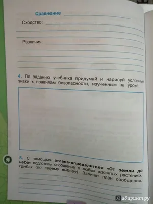 Запрещающие и предупреждающие знаки безопасности на производстве -  информационные надписи и таблички на заказ | Хамелеон 74