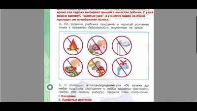 Тесты по условным знакам (спортивное ориентирование)