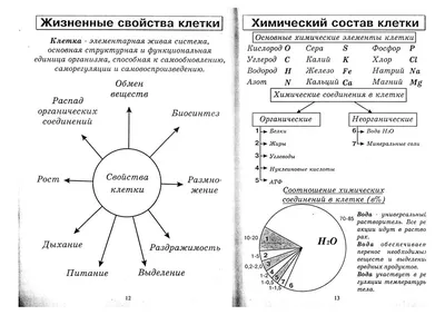 Дистанционное обучение, ОЧУ "Газпром школа", Москва