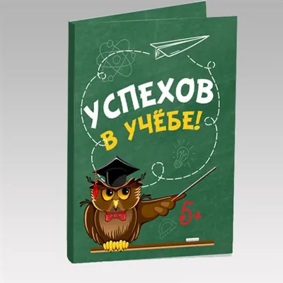 Шокооткрытка " Успехов в учебе" купить в Астане и Казахстане в  интернет-магазине подарков Ловец Снов