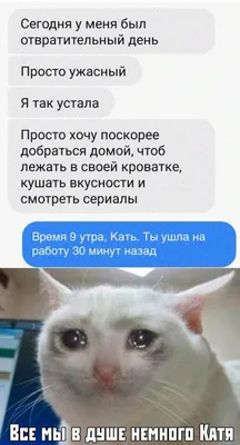 Устала😂 | Юмор, Смешно, Картинки