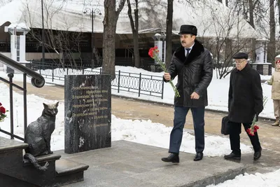 К сожалению, этому почти не учат». Жена военного — профессия или образ  жизни? | Такие Дела