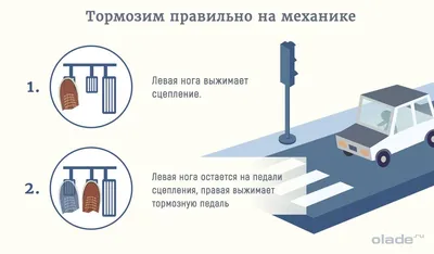 Подвеска автомобиля: устройство, назначение и виды