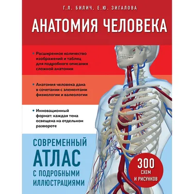  - Анатомия человека.Т.2.Внутренние органы.В 3х томах |  Колесников Л. | 978-5-9704-5775-7 | Купить русские книги в  интернет-магазине.