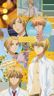 Pin by .akane. on мужья | Maid sama, Usui, Best anime shows