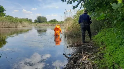 Как определить автомобиль-утопленник после наводнения