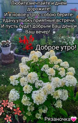 Утренние открытки - 74 фото