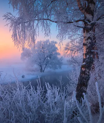 Зимние утренние пейзажи на картинках