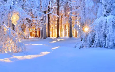 Зимний яркий пейзаж, утренний рассвет…» — создано в Шедевруме