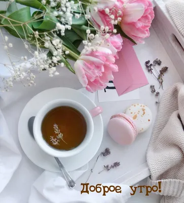 Доброе утро завтрак открытка кофе цветы стих | Tea cafe, Coffee art, Coffee  pictures