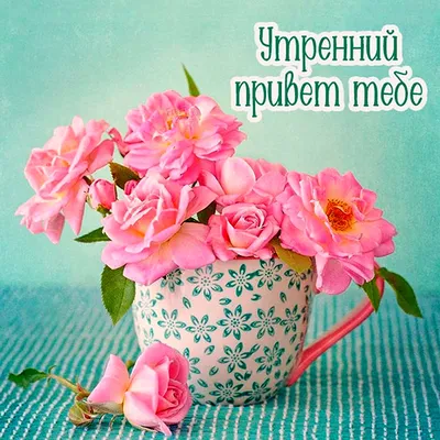 Мой Утренний Привет! Доброго утра! ☕🌹🌹🌹 в 2023 г | Доброе утро,  Фотографии для мотивации, Открытки