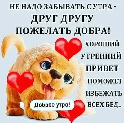 Свежим ,лёгким ветерком летит к вам в окно мой утренний привет ♡ | Лето,  Доброе утро, Окно