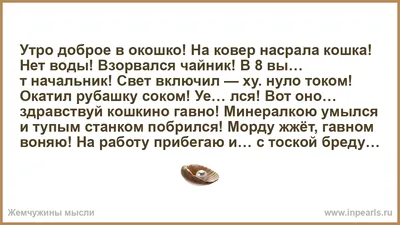 Утро доброе в окошко! На ковер насрала кошка! Нет воды! Взо…