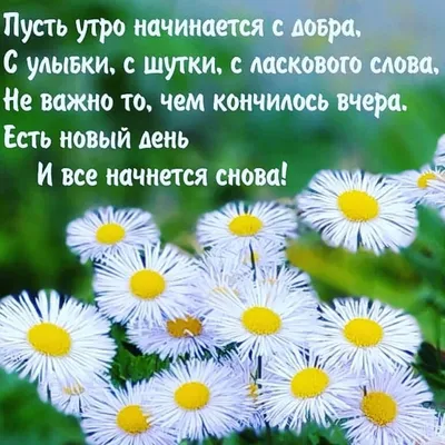 Z_Наталья on X: "@EtoEtna Доброе утро, Этна😍🌺😘😘😍  /SuNVLD8Fky" / X