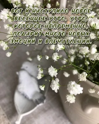 Этим утром мне не подняться - новый день наступил на меня всей своей  тяжестью — Скачайте на 