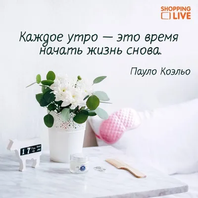 Пин от пользователя ÐÐ»ÐµÐ½Ð° ÐÑÐ³Ð°ÐµÐ²Ð° на доске Доброе утро •  Воскресенье в 2023 г | Доброе утро, Утро воскресенья, Воскресенье