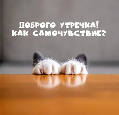 Корпоратив удался | Пикабу