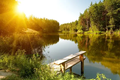 Доброе утро☀️ рассвет солнечное утро…» — создано в Шедевруме