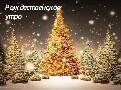 Pin by Ильмира Элли on ДОБРОЕ УТРО и СЧАСТЛИВОГО ДНЯ | Christmas bulbs,  Christmas ornaments, Christmas