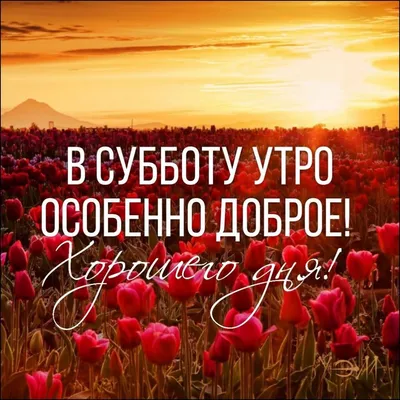 🍃🌞🌿 СУББОТА! | Доброе утро, Субботы, Весна