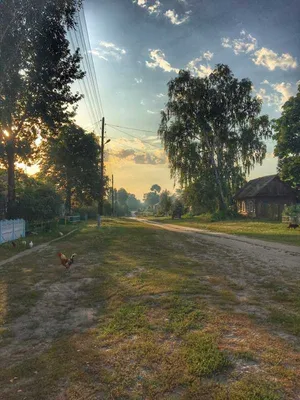 Утро в деревне. Фотограф Артём Колупахин