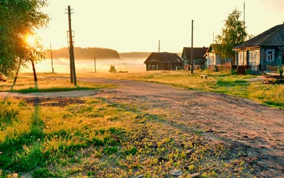 Картина по номерам "Утро в деревне" 40х50 на холсте — купить в  интернет-магазине по низкой цене на Яндекс Маркете