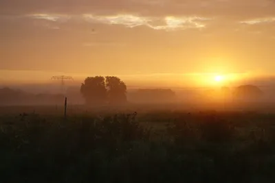 Доброе утро Восход солнца - фото и картинки: 61 штук
