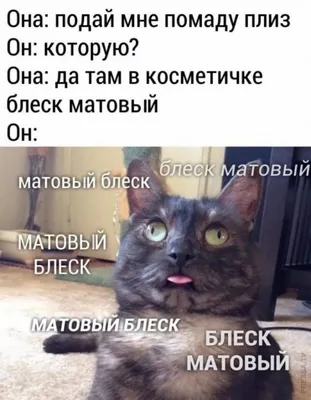 Воскресный юмор из сети