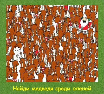 Проверка на внимательность: сколько на картинке предметов на одну и ту же  букву? Какую — догадайтесь сами! - Лайфхакер