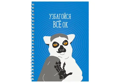 Блокнот Papadesign "Узбагойся все ОК" A5 21 х 15 см. - 89 грн купить в  подарок в Киеве и Украине от UAmade, код: 28377