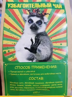 Успокойся, ты уже в вооруженных силах, обратного пути нет». Полиция и  военкомы снова устраивают облавы на призывников