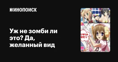 Аниме Уж не зомби ли это? (1 сезон) / Kore wa Zombie desuka? смотреть  онлайн бесплатно!