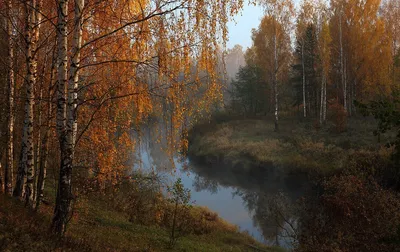 Уж небо осенью дышало | Пикабу