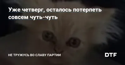 Вот уже и четверг)