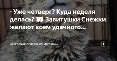 Уже четверг картинки