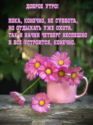 Уже четверг! Приятного сегодня! Восхитительного завтра! | Открытки, Осенние  картинки, Доброе утро