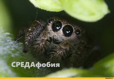 Ответы : Доброе утро люди Сегодня уже четверг, а завтра пятница Всех  поздравляю и желаю прекрасного настроения!