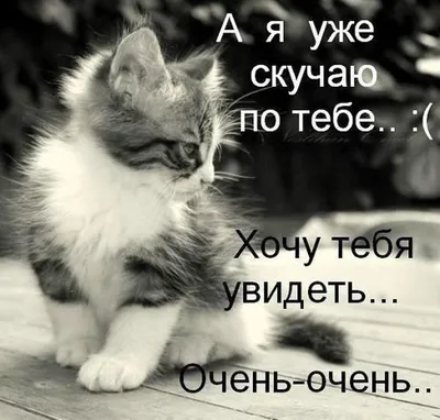 А я...уже скучаю по тебе...♡♡