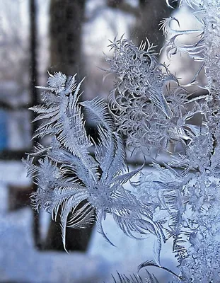 Узоры на стекле (2 фото). Воспитателям детских садов, школьным учителям и  педагогам - Маам.ру